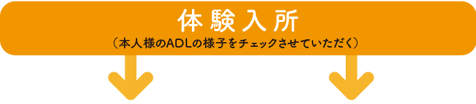 入所相談から入所についての流れ