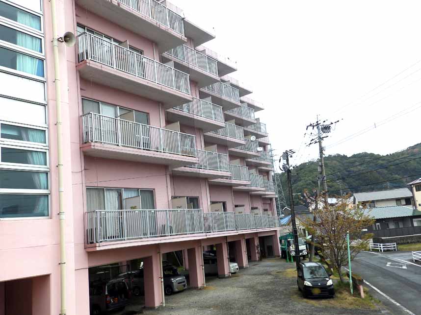 Ｒ6 防鳥ネット