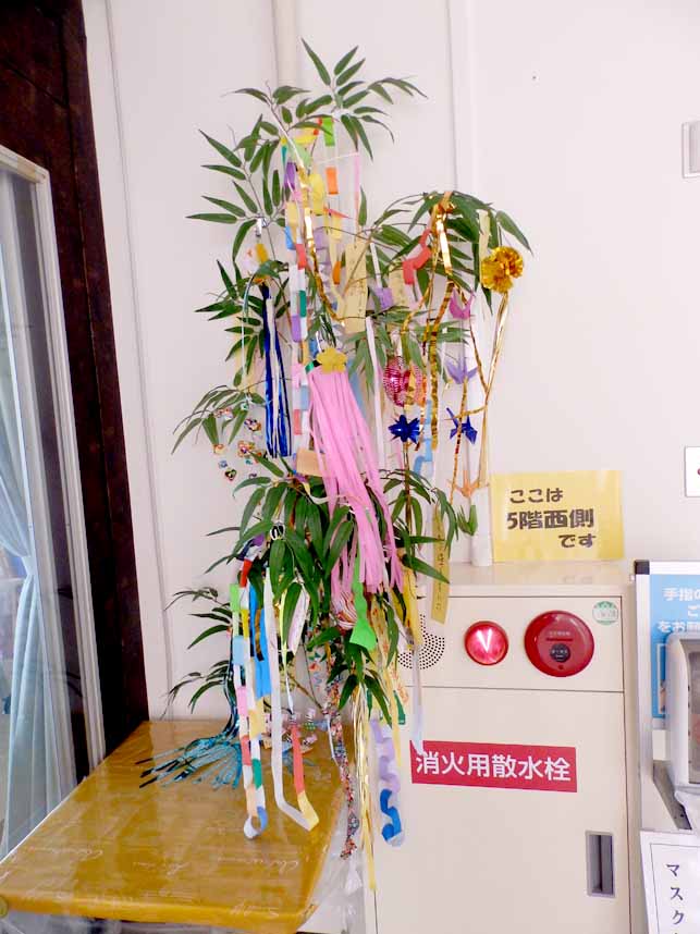 令和6年 7月 七夕 いっぺこっぺ用3