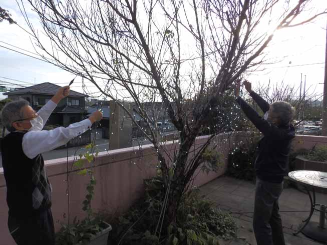 令和6年 イルミネーション いっぺこっぺ用4